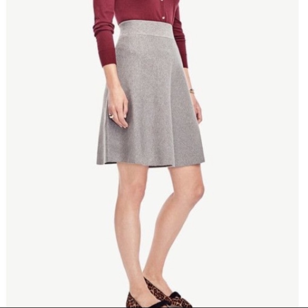 Ann Taylor Gray Circle Skirt